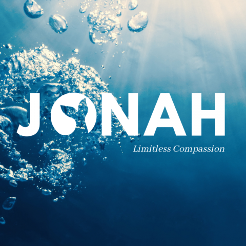 Limitless Compassion (3) Jonah 3:1-10