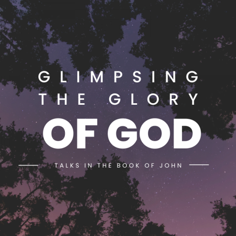 Glimpsing the glory of God (2) John 12:27-43